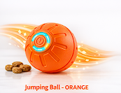 Smart Dog Toy Ball