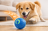 Smart Dog Toy Ball