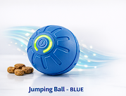 Smart Dog Toy Ball